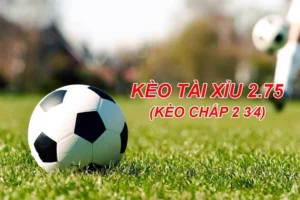 Bí Quyết Chiến Thắng Kèo 2.75: Chi Tiết Cho Tân Thủ